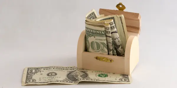 startup treasury management